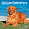 BrownTrout; Golden Retrievers | 2027 7 x 14 Inch (Hanging) Monthly Mini Wall Calendar; Category:Wall Calendars; Image:2